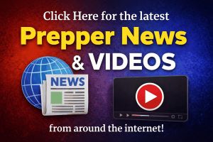 Prepper News and Videos